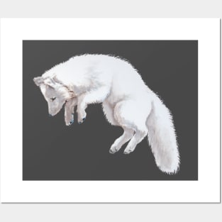 Arctic Fox Pounce Posters and Art